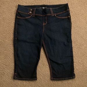 Source of Wisdom (torrid) dark wash crop jeans